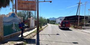 TRABAJOS DE FUMIGACIÓN Y MANTENIMIENTO EN ESPACIOS PÚBLICOS